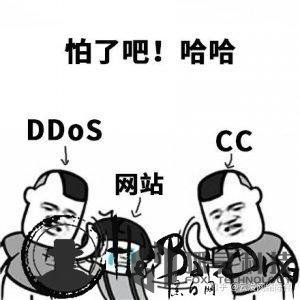 CC攻擊